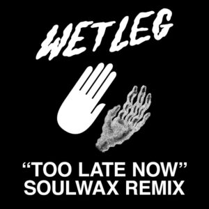  Wet Leg, Soulwax Remix_SpazioRock.jpg