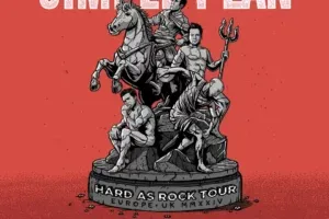 simple plan fabrique