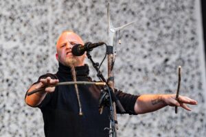 wardruna