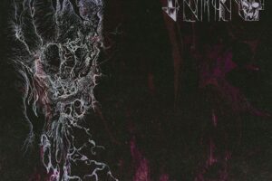 avmakt album2024 700x700