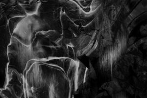 ORANSSI PAZUZU Muuntautuja recensione ita