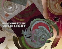 65daysofstaticwildlight