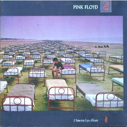 A MOMENTARY LAPSE OF REASON