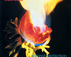 Adorable Against Perfection 1993 00
