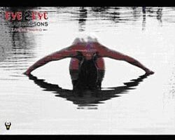 AlanParsons EyeToEye Art