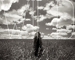 AmandaRogersWildcover