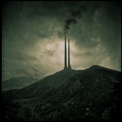 Amia Venera Landscape The Long Procession