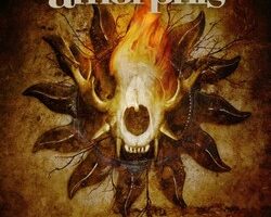 Amorphis Forging the land of thousand lakes