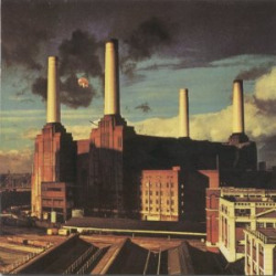 Animals