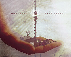 Bent Knee Land Animal Cover