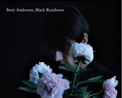 Brett anderson blackrainbows 2011 00