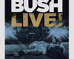 Bush Live 250px