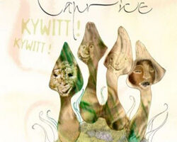 Caprice kywitt 2008 00