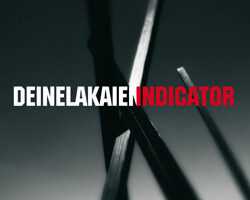 Deinelakainen indicator 2010 00