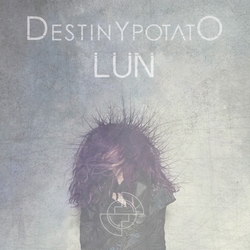 DestinyPotato LunFront