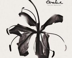 Evaline Woven Material