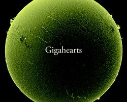 GigaheartsDharma