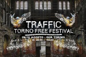 Intervista traffic torino festival 2013 00