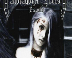 Madragora scream dragonfly cover