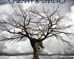Methodica The Silence Of Wisdom Cover