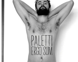 Paletti ergosum 2013 00