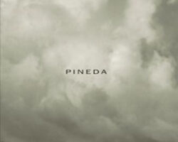 Pineda Recensione 2011