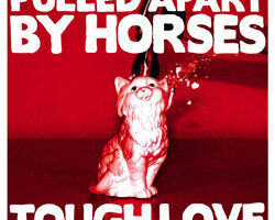 PulledApartByHorses ToughLove Recensione 2012