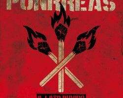 Punkreas lato ruvido web