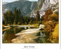 Quiet Swamps by The Child of A Creek COPERTINA