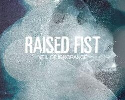RaisedFistVeilOfIgnorance
