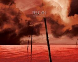 Review Pelican What We All Come to Need