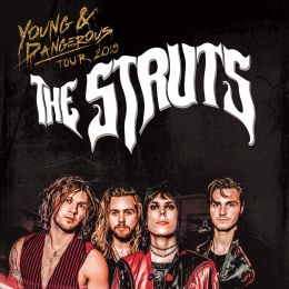 The struts 260
