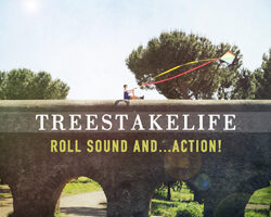 Trees roll sound andaction 2012 00