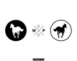 White Pony x Black Stallion artwork 2020 recensione