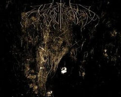 Wolves in the Throne Room Two Hunters