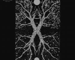 a2172259645 10