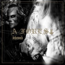 behemoth a forest