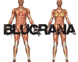 blugrana recensione 2011