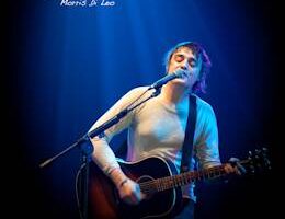 concerti 2012 dileo doherty 00
