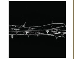 cover Amenra De Doorn