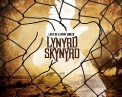 cover lynyrd skynyrd01