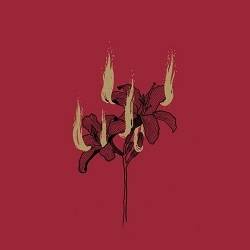 coverhyrgal