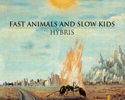 fask hybris 2013 00