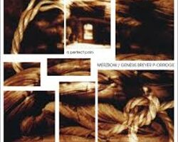genesiamerzbow aperfectpain