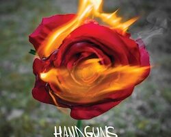handguns 19122015