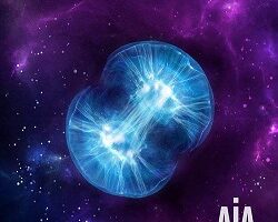 invivo arise 2013