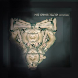 pure reason revolution amor