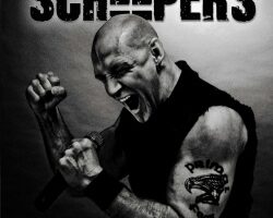 scheepers scheepers art