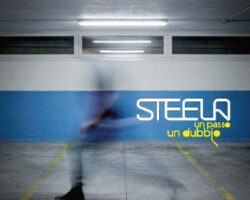 steela unpassoundubbio 2011 00
