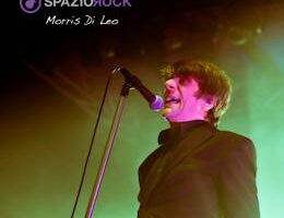 tdo concerto BO 12 00